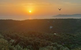 Villa Amfithea